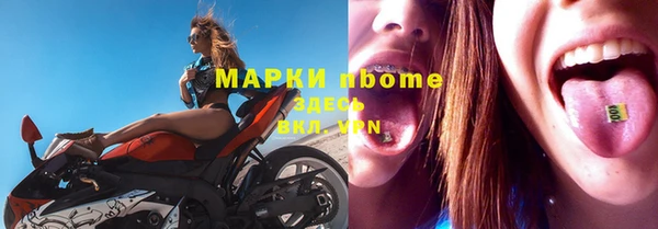 прущие грибы Нея