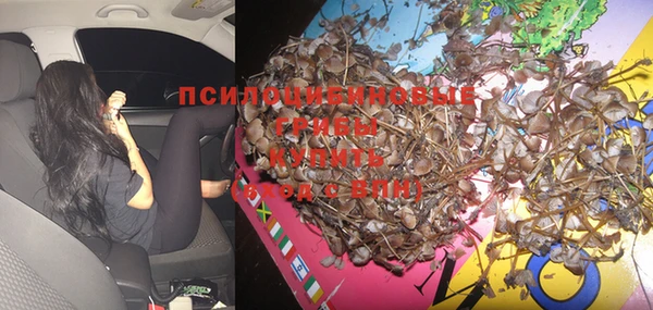 прущие грибы Нея